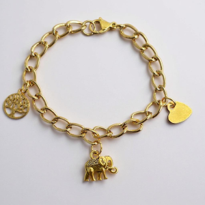 RAJENDRA CHAINE DORÉE